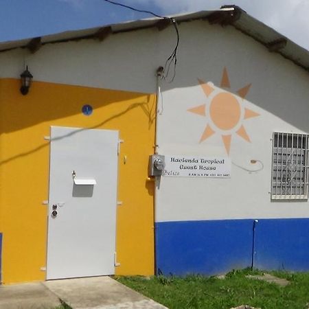 Hacienda Tropical Guest House Belmopan Buitenkant foto